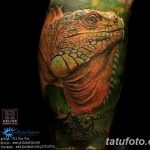 фото тату игуана от 26.06.2018 №066 - tattoo of iguana - tatufoto.com