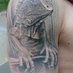 фото тату игуана от 26.06.2018 №070 - tattoo of iguana - tatufoto.com