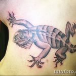 фото тату игуана от 26.06.2018 №072 - tattoo of iguana - tatufoto.com