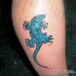 фото тату игуана от 26.06.2018 №077 - tattoo of iguana - tatufoto.com