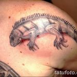 фото тату игуана от 26.06.2018 №078 - tattoo of iguana - tatufoto.com