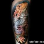 фото тату игуана от 26.06.2018 №088 - tattoo of iguana - tatufoto.com