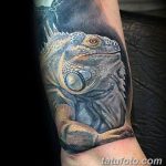фото тату игуана от 26.06.2018 №091 - tattoo of iguana - tatufoto.com