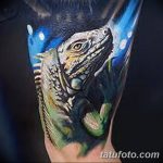 фото тату игуана от 26.06.2018 №099 - tattoo of iguana - tatufoto.com