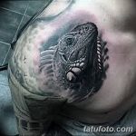 фото тату игуана от 26.06.2018 №100 - tattoo of iguana - tatufoto.com