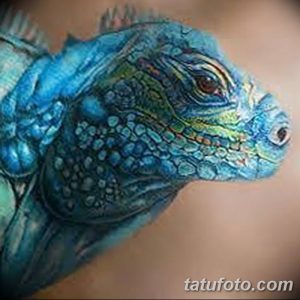 Фото тату крупным планом головы игуаны. Реалистичный рисунок с использованием синих и зеленых оттенков, создающий эффект глубины.