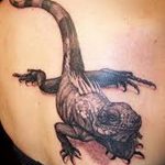 фото тату игуана от 26.06.2018 №106 - tattoo of iguana - tatufoto.com