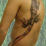 фото тату игуана от 26.06.2018 №107 - tattoo of iguana - tatufoto.com