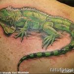 фото тату игуана от 26.06.2018 №110 - tattoo of iguana - tatufoto.com