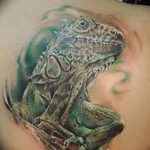 фото тату игуана от 26.06.2018 №111 - tattoo of iguana - tatufoto.com
