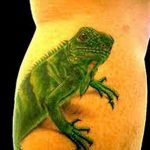 фото тату игуана от 26.06.2018 №113 - tattoo of iguana - tatufoto.com