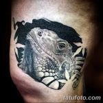 фото тату игуана от 26.06.2018 №119 - tattoo of iguana - tatufoto.com