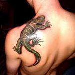 фото тату игуана от 26.06.2018 №122 - tattoo of iguana - tatufoto.com