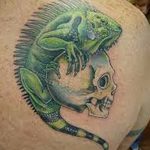 фото тату игуана от 26.06.2018 №129 - tattoo of iguana - tatufoto.com
