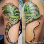 фото тату игуана от 26.06.2018 №131 - tattoo of iguana - tatufoto.com