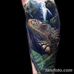 фото тату игуана от 26.06.2018 №132 - tattoo of iguana - tatufoto.com