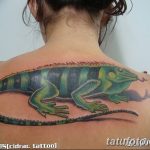 фото тату игуана от 26.06.2018 №136 - tattoo of iguana - tatufoto.com