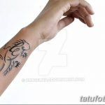 фото тату игуана от 26.06.2018 №143 - tattoo of iguana - tatufoto.com