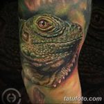 фото тату игуана от 26.06.2018 №145 - tattoo of iguana - tatufoto.com