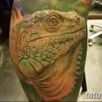фото тату игуана от 26.06.2018 №147 - tattoo of iguana - tatufoto.com