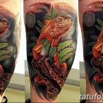 фото тату игуана от 26.06.2018 №157 - tattoo of iguana - tatufoto.com