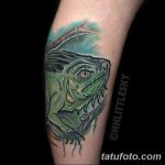 фото тату игуана от 26.06.2018 №160 - tattoo of iguana - tatufoto.com
