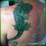 фото тату игуана от 26.06.2018 №161 - tattoo of iguana - tatufoto.com