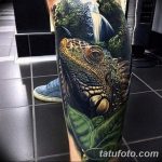 фото тату игуана от 26.06.2018 №163 - tattoo of iguana - tatufoto.com