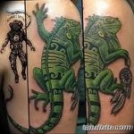 фото тату игуана от 26.06.2018 №166 - tattoo of iguana - tatufoto.com