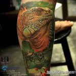 фото тату игуана от 26.06.2018 №167 - tattoo of iguana - tatufoto.com