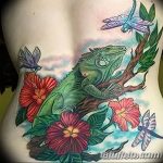 фото тату игуана от 26.06.2018 №168 - tattoo of iguana - tatufoto.com