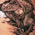 фото тату игуана от 26.06.2018 №170 - tattoo of iguana - tatufoto.com