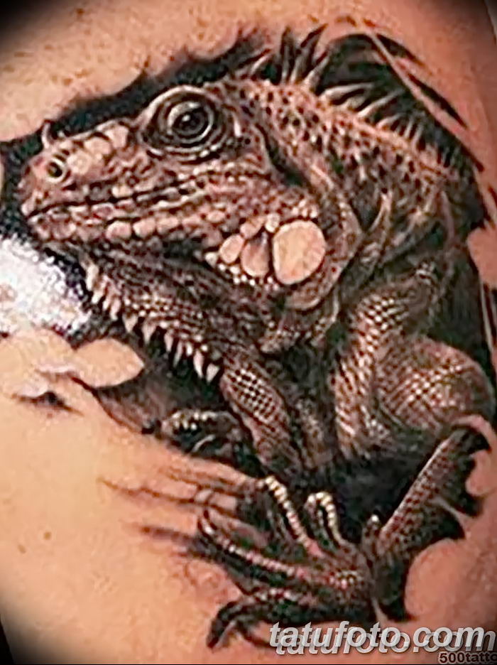 фото тату игуана от 26.06.2018 №170 - tattoo of iguana - tatufoto.com