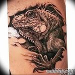 фото тату игуана от 26.06.2018 №171 - tattoo of iguana - tatufoto.com
