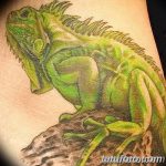 фото тату игуана от 26.06.2018 №173 - tattoo of iguana - tatufoto.com