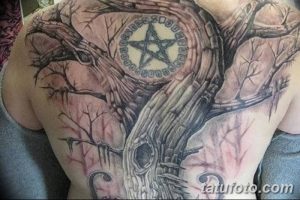 Фото тату на спине: большое изображение дерева с пентаграммой в центре. Черно-серый рисунок татуировки в стиле реализм.