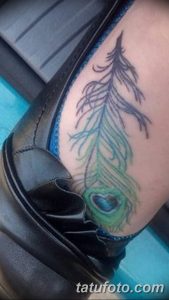фото тату перо павлина от 26.06.2018 №001 - tattoo peacock feather - tatufoto.com