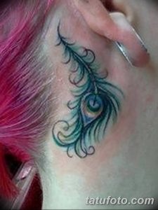 фото тату перо павлина от 26.06.2018 №002 - tattoo peacock feather - tatufoto.com