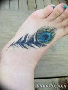 фото тату перо павлина от 26.06.2018 №005 - tattoo peacock feather - tatufoto.com