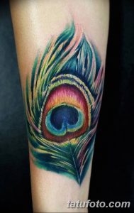 фото тату перо павлина от 26.06.2018 №006 - tattoo peacock feather - tatufoto.com