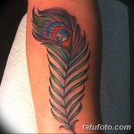 фото тату перо павлина от 26.06.2018 №008 - tattoo peacock feather - tatufoto.com