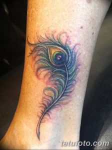 фото тату перо павлина от 26.06.2018 №009 - tattoo peacock feather - tatufoto.com
