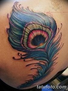 фото тату перо павлина от 26.06.2018 №010 - tattoo peacock feather - tatufoto.com
