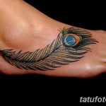 фото тату перо павлина от 26.06.2018 №012 - tattoo peacock feather - tatufoto.com