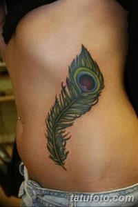 фото тату перо павлина от 26.06.2018 №013 - tattoo peacock feather - tatufoto.com