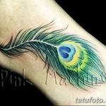 фото тату перо павлина от 26.06.2018 №014 - tattoo peacock feather - tatufoto.com