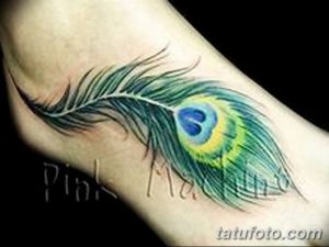фото тату перо павлина от 26.06.2018 №014 - tattoo peacock feather - tatufoto.com