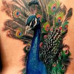 фото тату перо павлина от 26.06.2018 №015 - tattoo peacock feather - tatufoto.com