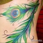 фото тату перо павлина от 26.06.2018 №016 - tattoo peacock feather - tatufoto.com