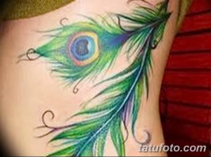 фото тату перо павлина от 26.06.2018 №016 - tattoo peacock feather - tatufoto.com